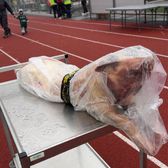 Premiu bizar în Norvegia A fost MVP cu fosta echipă a lui  Haaland  și a fost premiat cu un porc