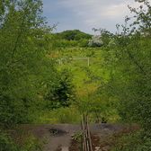 Radiografia unui dezastru   Doar   46 de baze sportive din 107 mai sunt funcționale  în București. Un studiu prezintă imaginea jalnică a infrastructurii sportive de cartier