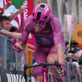 Taifunul danez    Superfinal la sprint în Giro.  Pedersen, a 4-a etapă câștigată. Van Aert nu l-a prins!