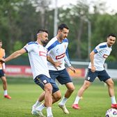 Austria se teme  Burleanu dezvăluie cum încearcă rivala României   să blocheze Zidul Galben:  „Am fi fost mai mulți decât ei”