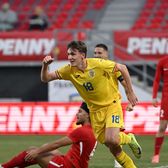 „Cel mai important moment”    Cătălin Vulturar,  înainte de Euro U21: „Avem o singură șansă”