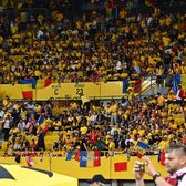 Fani de Mondiale    VIDEO+FOTO.  Viena, cucerită de   Zidul Galben!  Momente copleșitoare în momentul imnului