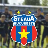 Curățenie generală la Steaua  Zece jucători,   OUT din Ghencea