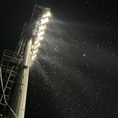 Coșmar pentru jucători și fani    VIDEO:    Invazie de insecte de mari dimensiuni  în România, la meciul naționalei U19 de la Euro 2025