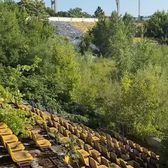 Dezastru    VIDEO.   FC Bacău a promovat în Liga 2, dar stadionul   s-a transformat în junglă!  La 8 luni de la vizita   GOLAZO.ro,  situația s-a înrăutățit