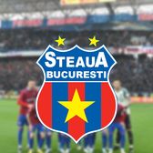 Aviz negativ: „Posibile derapaje financiare”  O singură comisie parlamentară   a refuzat să valideze proiectul de lege  care ar permite promovarea Stelei în Liga 1 » Care sunt argumentele