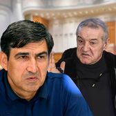 „Pentru unii nu există lege”  Pițurcă îl acuză pe patronul FCSB că a blocat Legea Sportului:   „Pile pe la partide!  Care democrație?!”