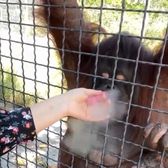 Gest șocant   O sportivă din Rusia   a indignat  întreaga lume, după un clip postat pe internet » Ce a făcut 