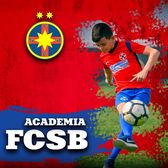 Ce se întâmplă la Academia FCSB?    A cheltuit 1,5 milioane de euro în 2024,  dar a picat în clasificarea FRF sub cluburi cu buget de 3 ori mai mic
