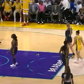 „Ne-am săturat! Încetați”  Jucătoarele din WNBA, revoltate după mai multe incidente în care fanii   au aruncat jucării sexuale  pe teren: „Nu e o glumă!”