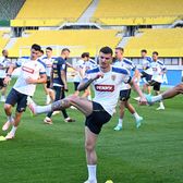 Mihăilă s-a accidentat  Incert pentru meciurile cu   Canada și Cipru 