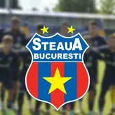 CSA Steaua, fără banii din bugetul de stat  Ministrul Apărării anunță: „În fotbal nu poți să faci   performanță pe bani publici”