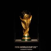 Alertă de pariuri și blaturi!  Avertisment asupra pericolului care   pândește Mondialul din 2026