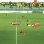 Albinele au provocat haos!    FOTO.  Un meci a fost întrerupt după ce   un roi de insecte a invadat terenul  » Cum s-au protejat jucătorii