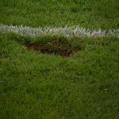 Întrerupt de groapa din gazon    FOTO.     Nu s-a jucat  timp de 5 minute în Austria - Cipru: au adus pământ cu găleata, pe final de meci