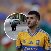 S-a întâlnit cu ursul    VIDEO.  Fostul jucător de la   Atletico Madrid  a avut parte de un moment bizar pe o stradă din Mexic » Reacția soției