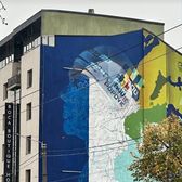 Mural cu David Popovici  Campionul olimpic va avea chipul pictat pe o   clădire din Timișoara