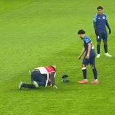 Scene comice pe Arenă    VIDEO+FOTO.     Un porumbel  a întrerupt Dinamo - Metaloglobus și le-a dat mari bătăi de cap stewarzilor