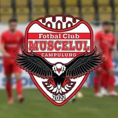 La un pas de colaps  O echipă din Liga 2   s-ar putea retrage  în mijlocul sezonului! Cer sprijinul Primăriei