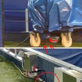 Șobolani pe Camp Nou!  Continuă problemele pe stadionul   Barcelonei,  a cărui renovare a costat 1,5 miliarde de euro