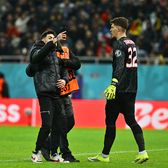 A întrerupt meciul     FOTO.  Un suporter   a intrat pe gazon  în FCSB - Fenerbahce pentru selfie-uri