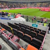 „Câinilor” le e teamă de amenzi    FOTO.  Dinamo a luat măsuri de urgență pe Arena Națională, după   incidentul șocant cu Baiaram