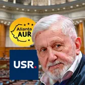 USR nu vrea „Anul Ilie Năstase”  Singurii care n-au votat proiectul legislativ au fost parlamentarii conduși de Dominic Fritz: „E doar   o metodă de a sifona bani”