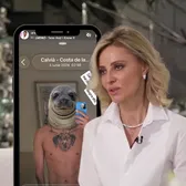 Răspuns pentru Diana Șucu  Făcut praf de soția lui Dan Șucu,   ex-rapidistul ripostează:  „Caracterul se vede cel mai clar în felul în care vorbește despre alții”