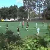 Moment bizar în Australia     VIDEO.      Au tăiat copacul  în mijlocul meciului: „Nu cumva e fundașul lui Arsenal?”