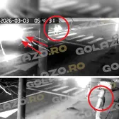 Starea victimei s-a agravat dramatic  Femeia lovită de   rapidistul Keita  pe trecerea de pietoni a suferit mai multe AVC-uri