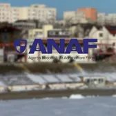 ANAF amână demolarea „Oficialei”   Creditorii ASC FC Dinamo   n-au aprobat  dezmembrarea lojilor lui Nicolae Badea » Pretențiile Fiscului