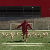 Roberto Carlos, antrenor de găini     VIDEO  Legendarul fotbalist apare într-o reclamă în care compară picioarele lui cu   copanele de pui:  „Gustos!”