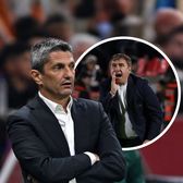 Sare în apărarea lui Hagi   Răzvan Lucescu, după remiza cu Georgia: „Meciurile astea   n-au valoare decât pentru Gică”