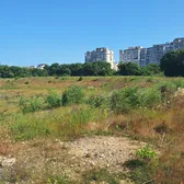  „Cât e biletul în savană?”  Locul unde ar trebui să se construiască    noul stadion al echipei de tradiție  e acoperit de vegetație