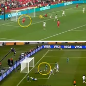 Cele mai mari ratări din istoria Cupei Mondiale     FOTO.  Cu cine candidează elvețianul Fabian Rieder, după   faza cu poarta goală  din meciul cu Algeria » Și Pele e în top