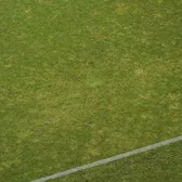 Aici vrea să se mute FCSB!    FOTO.    Gazonul de pe „Arc” arată deplorabil!  Ar trebui să fie gazdă pentru   8 meciuri   în următoarea lună