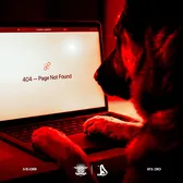 Eroare 404   Ironia dinamoviștilor  înainte de meciul cu Rapid: „Pagină negăsită” + Soundtrack cu tentă: „Cine dracu' ești?”
