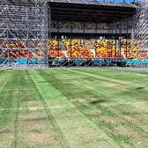 Arena Națională, la 3 luni de la blocare   FOTO:  Cum arată  gazonul  de pe stadion după evenimentele găzduite