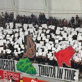 Atac murdar la emblema Dinamo  Scenografia ultrașilor FCSB pe „Arc”: un câine care lasă în peluză  o efigie maronie  a marii rivale