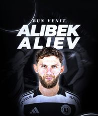 alt-text