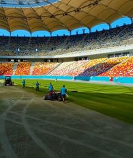 alt-text