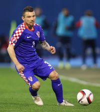 Star la Bayern, acum la Adunații Copăceni  Danijel Pranjic  a semnat  cu echipa din Liga 4 a României