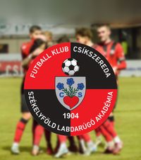 Csikszereda șochează România!  Raport financiar ireal al clubului de Liga a 2-a: venituri la nivel de play-off în Liga 1,  de peste 5 ori cât Steaua