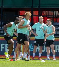 SPECTACOL ȘI HI-TECH  Stegulețe, filmări 3D și   atmosferă incendiară  pentru duelul cu România: ce au pregătit austriecii pentru meciul de mâine