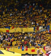 Fani de Mondiale    VIDEO+FOTO.  Viena, cucerită de   Zidul Galben!  Momente copleșitoare în momentul imnului