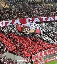 S-a blocat PCH!    Mesaj nereușit.    VIDEO.  Scenografia galeriei dinamoviste a apărut când Dinamo - FCSB se juca de mai multe minute