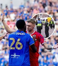 A sărit la bătaie  Poliția din Anglia a deschis o anchetă, după ce un fan a vrut să lovească un jucător la meciul dintre   Birmingham și Ipswich