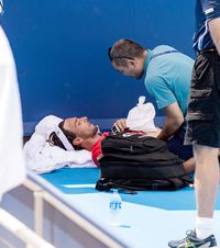 S-a prăbușit pe teren   Un jucător de tenis,   nevoit să se retragă  de la turneul din Cincinnati din cauza căldurii