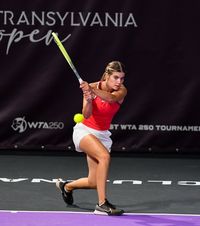 O jucătoare de tenis, implicată  Femeia a cărei mașină a fost   lovită de fiului lui Ilie Dumitrescu  a reprezentat România la Billie Jean King Cup. În ce stare se află