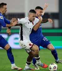 Nemaivăzut!    Selecționerul sârb și-a anunțat demisia pe bancă,  în timpul jocului cu Albania: „Nu mai are sens”